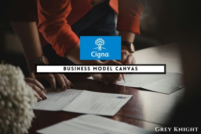 Cigna Business Model Canvas